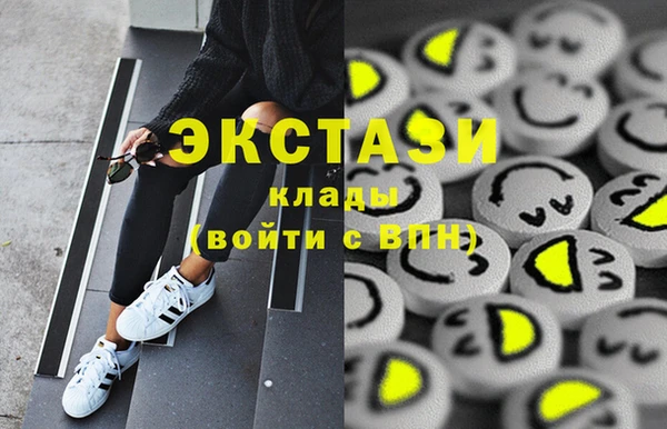 мдпв Богородицк