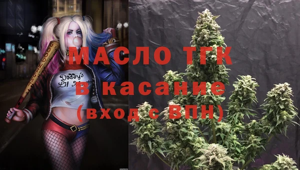 мдпв Богородицк