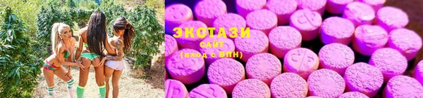 мдпв Богородицк