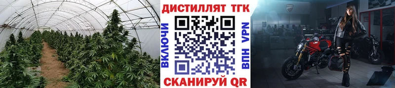 Дистиллят ТГК Wax  как найти наркотики  Егорьевск 